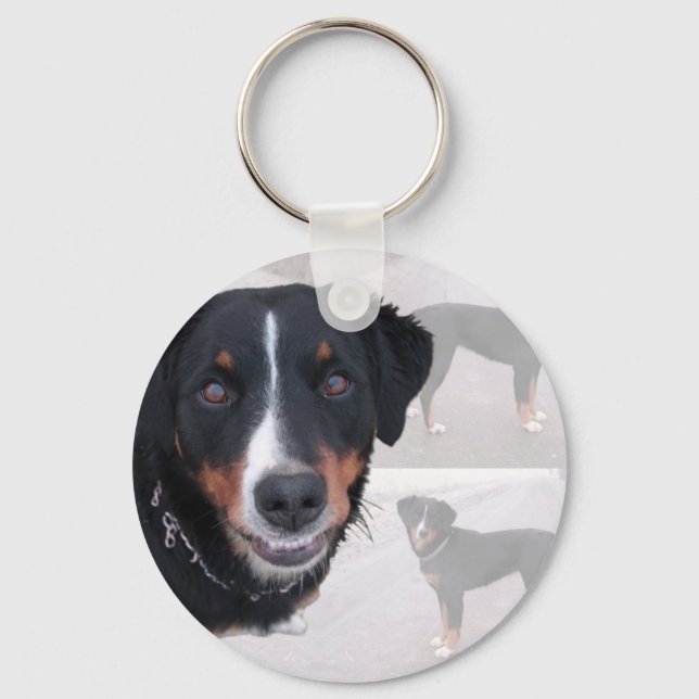 Porte-clés Appenzeller Sennenhund (Recto)