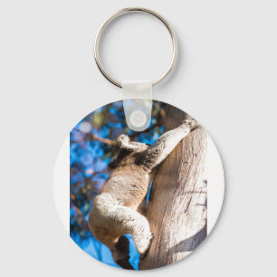 Porte-clés arbre à escalades de koala en Australie