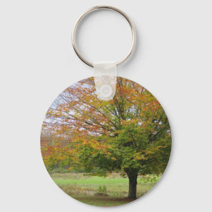 Porte-clés Arbre dans le Porte - clé d'automne