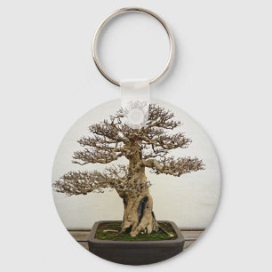 Porte-clés Arbre de bonsaïs de grenade