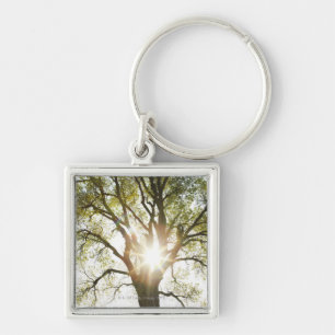 Porte-clés Arbre ensoleillé