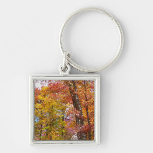 Porte-clés Arbres automnes oranges et jaunes Photographie d'a