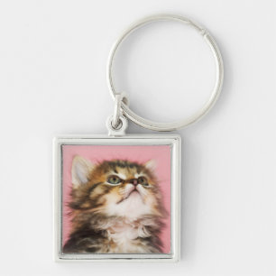 Porte-clés Assez dans le chaton rose