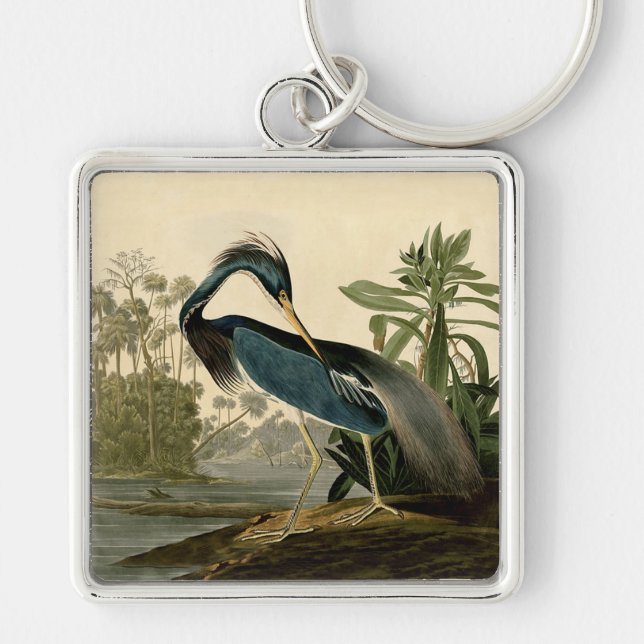 Porte-clés Audubon Louisiana Heron Birds America Art (Devant)