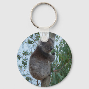 Porte-clés Australia Kangaroo Island Koala in a Tree