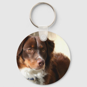 Porte-clés Australian Shepherd keychain