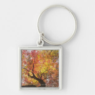 Porte-clés Automne