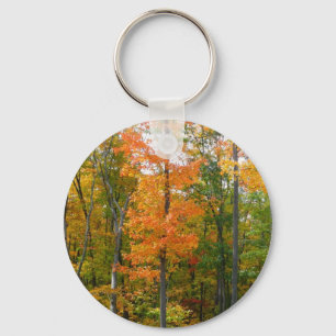 Porte-clés Automne Maple Trees Automne Photographie de la nat