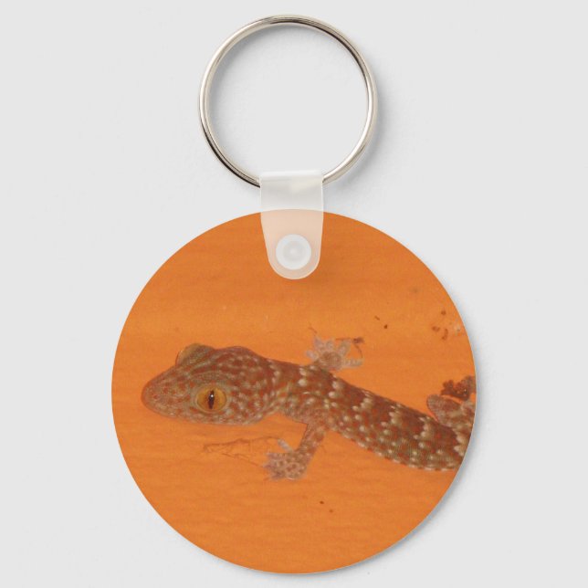 Porte-clés Baby Tokay Gecko (Recto)