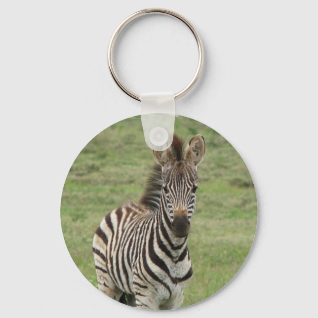 Porte-clés Baby Zebra Porte - clé (Recto)