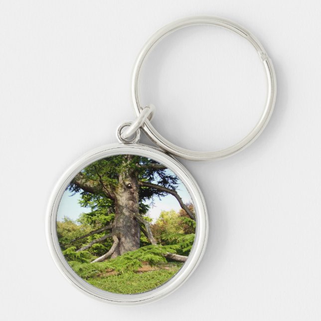 Porte-clés Bague clé de l'arbre du cèdre du Liban (Devant)