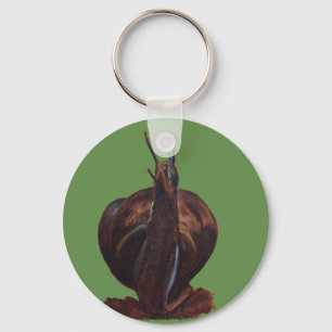 Porte-clés Bague de clé de dessin d'art de l'escargot