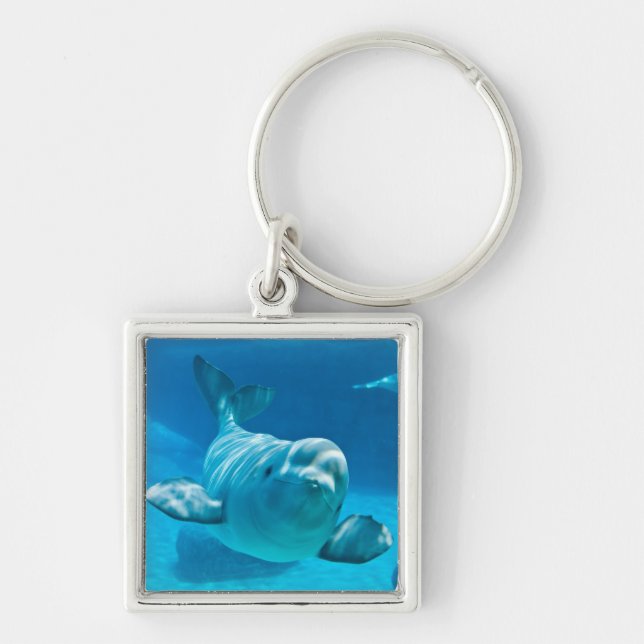Porte-clés Baleine de beluga (Devant)