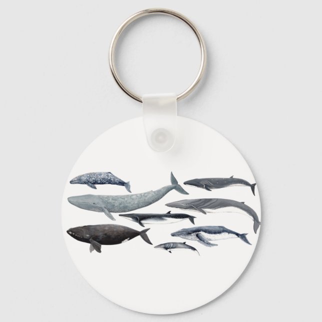 Porte-clés Baleines et baleines noires (Recto)