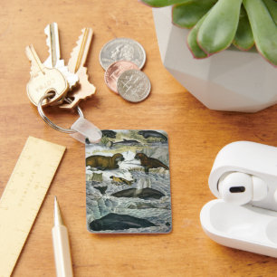 Porte-clés Baleines, phoques et morses, Animaux marins ancien