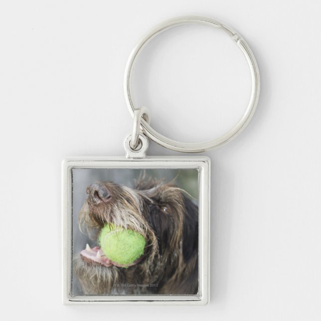Porte-clés Balle de tennis acérée de chien d'indicateur, plan (Devant)