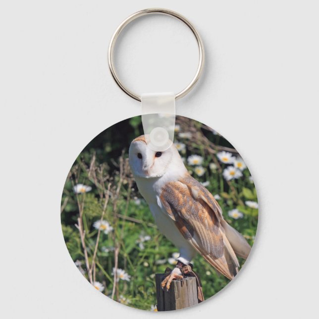 Porte-clés Barn Owl (Recto)