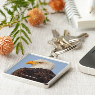 Porte-clés Beau Aigle Majestic dans l'arbre