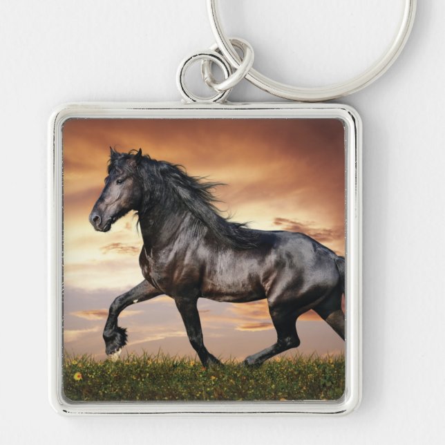 Porte-clés Beau Cheval Noir (Devant)