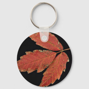 Porte-clés Beau Poison feuilles ivoiriens