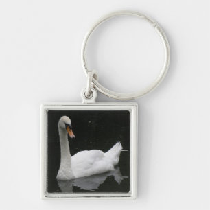 Porte-clés Beau Porte - clé de cygne blanc