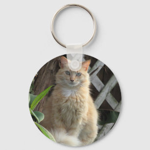 Porte-clés Beauté - Le plus beau chat errant - Porte - clé