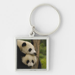 Porte-clés Bébés pandas géants (Ailuropoda melanoleuca)
