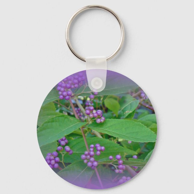 Porte-clés Belle-Belle américaine (Callicarpa americana) (Recto)