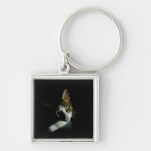 Porte-clés Belle photo de chat