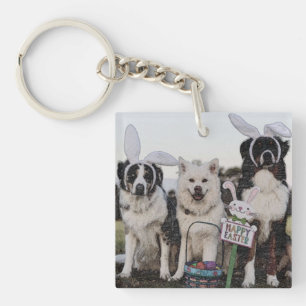 Porte-clés Berger australien, Australien, Australien, Berger