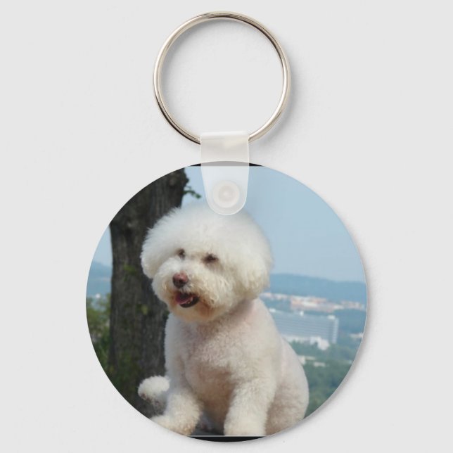 Porte-clés Bichon Frise (Recto)