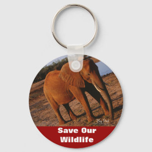 Porte-clés Big Red Sauver notre Porte - clé de la faune
