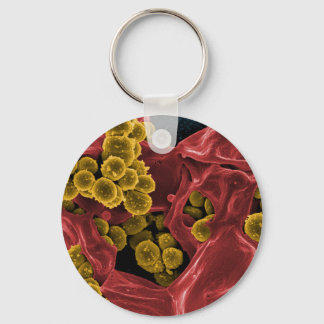 Porte-clés biologie microbiologie cadeaux pour enseignants ét