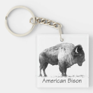 Porte-clés Bison américain