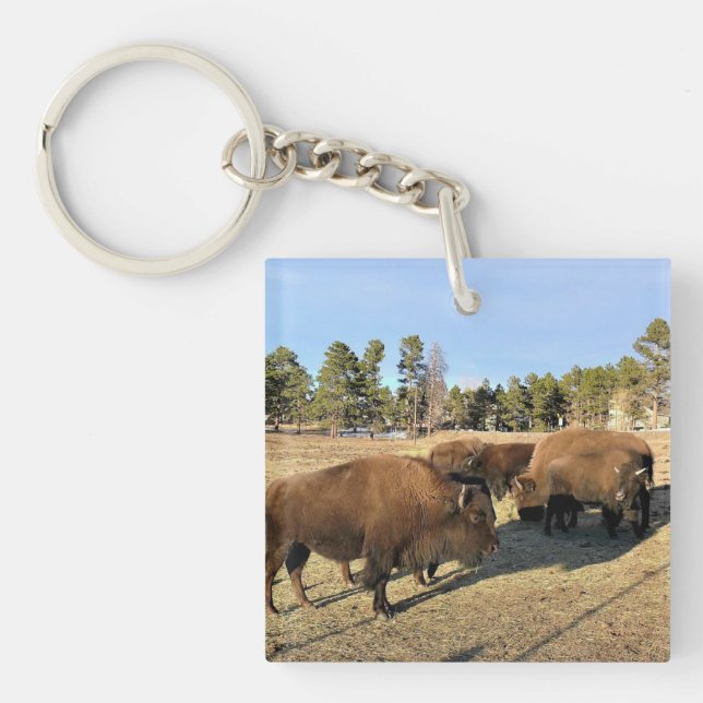 Porte-clés Bison dans le Colorado (Devant)