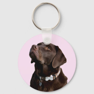 Porte-clés Black Brown Labrador Retriever Puppy Dog Porte - c
