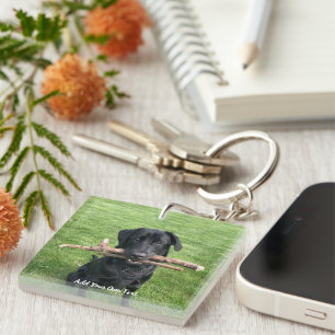 Porte-clés Black Lab avec deux bâtons Photo et nom du chien