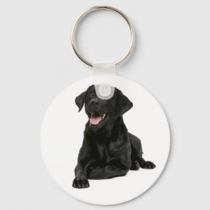 Porte-clés Black Labrador Retriever Chien Chien Chien Porte -