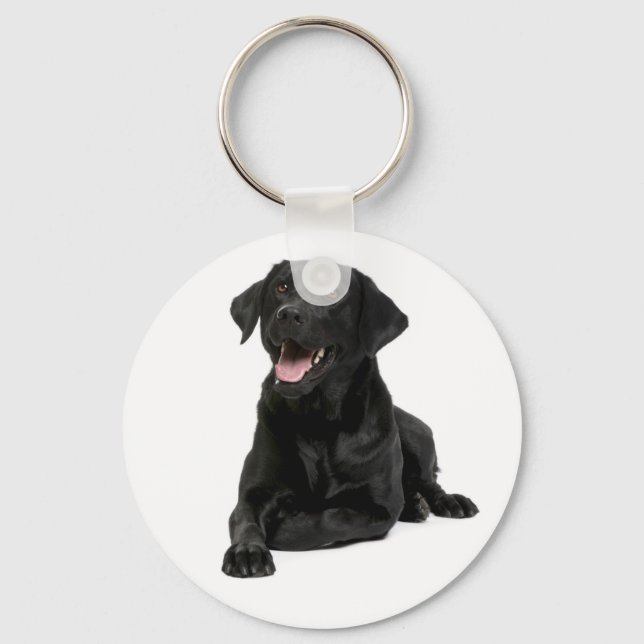 Porte-clés Black Labrador Retriever Chien Chien Chien Porte - (Recto)