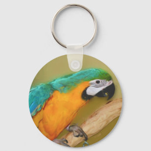 Porte-clés Blue Gold Macaw Parrot Painting Keychain