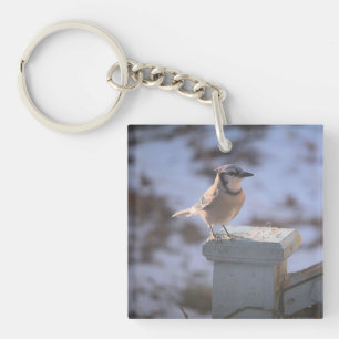 Porte-clés Blue Jay