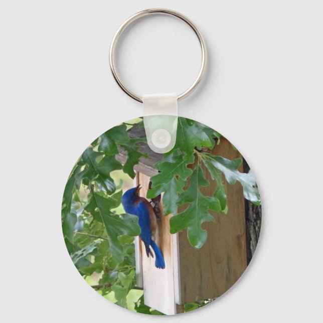 Porte-clés Bluebird à la maison (Recto)
