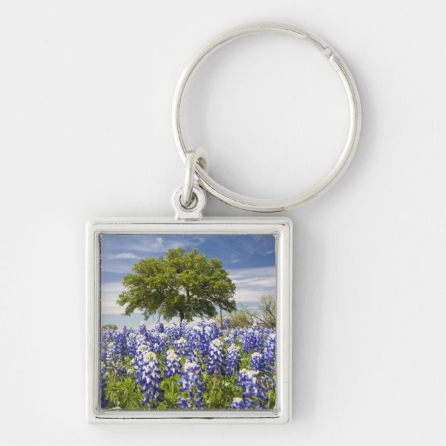 Porte-clés Bluebonnets du Texas (lupinus texensis) et chêne (Devant)