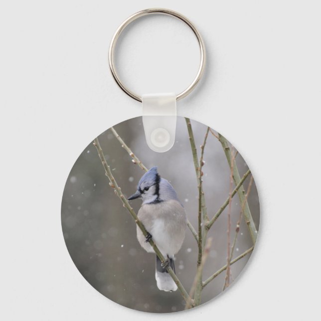 Porte-clés Bluejay dans le porte - clé de neige (Recto)