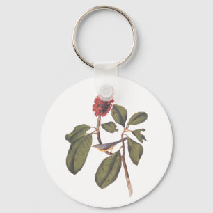 Porte-clés Bonaparte Moucherolle Canada Paruline Audubon Oise