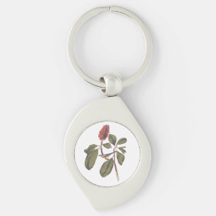 Porte-clés Bonaparte Moucherolle Canada Paruline Audubon Oise