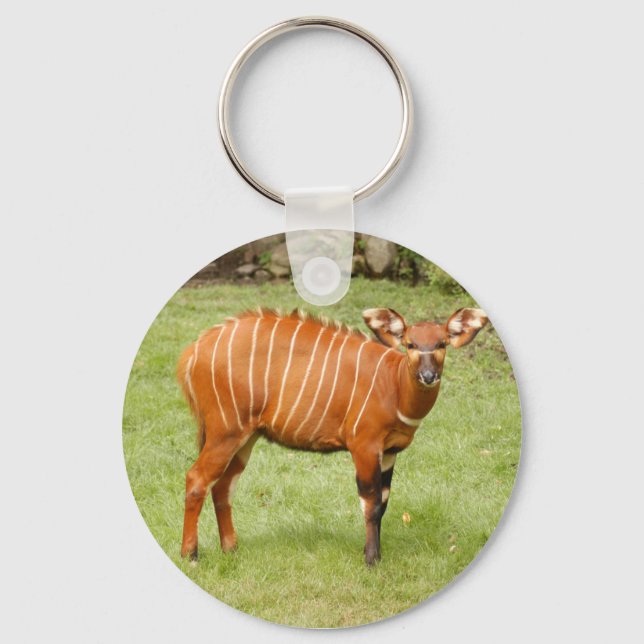 Porte-clés Bongo africain (Recto)