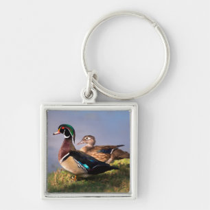 Porte-clés Bord de lac, Canard branchu