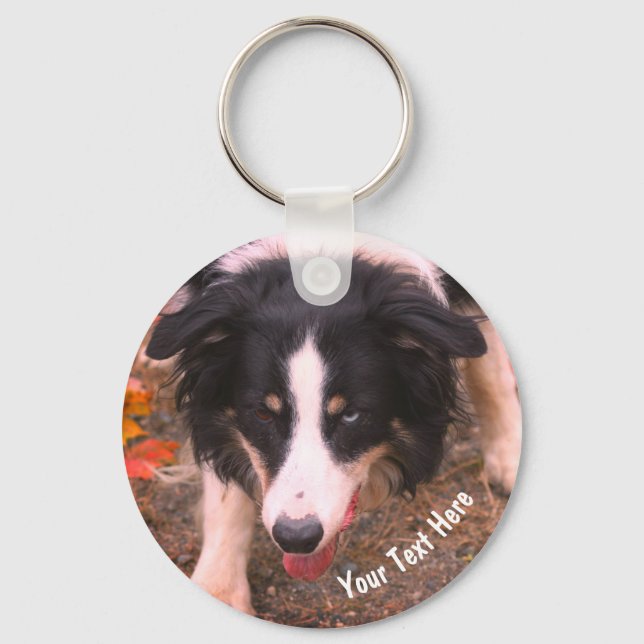 Porte-clés Bordure Collie Stare Chien Personnalisé (Recto)