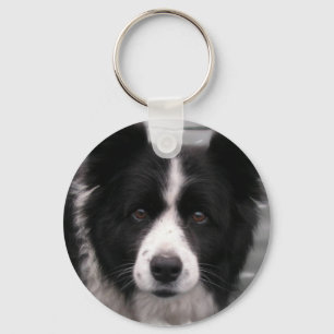 Porte-clés Bordure Porte - clé Collie